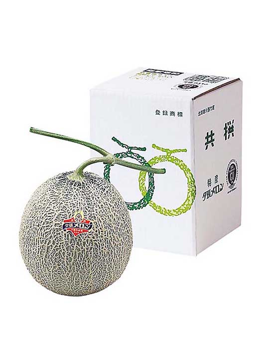 〈翠然フルーツ〉[レギュラー/1玉] 夕張メロン   約2kg×1