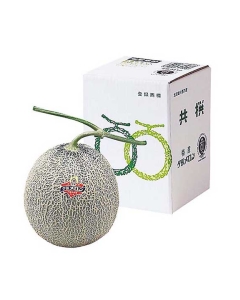 〈EJ Premier Fruits / JA夕張〉北海道産 夕張メロン【秀/2kg】
