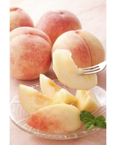 〈EJ Premier Fruits〉JAふえふき 山梨県産 温室ハウス 桃  4~5個 (約1kg)