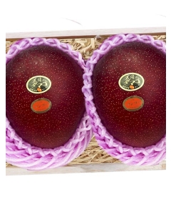 〈EJ Premier Fruits〉JA宮崎中央 宮崎県産 完熟マンゴー [太陽のタマゴ] 2個 4Lサイズ 桐箱入