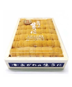 〈北海道／小川商店〉【豊洲セリ番号上位指定】虻田 小川 おがわの生うに キタムラサキウニ 星付き鮨屋と同等品 
