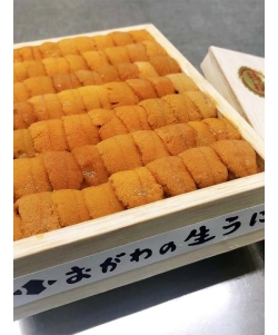 〈北海道／小川商店〉虻田小川【特選／セリ番号上位指定】おがわの生うに 北方四島・北海道産 エゾバフンウニ 星付き鮨屋と同等品