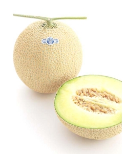 〈EJ Premier Fruits〉静岡県温室農業協同組合 マスクメロン1個 (約1.4kg) 桐箱入