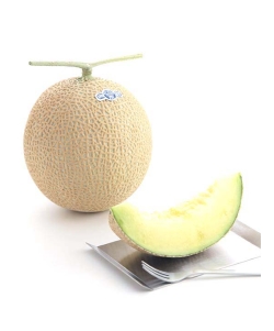 〈EJ Premier Fruits〉静岡県温室農業協同組合 マスクメロン1個 (約1.3kg) 桐箱入