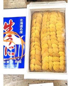 〈北海道／東沢水産〉【レギュラー】北海道産 キタムラサキウニ 下駄 大箱