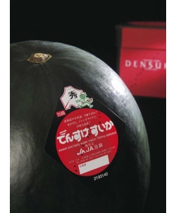 〈EJ Premium Fruits／JA当麻〉北海道産 でんすけすいか【秀/10kg】