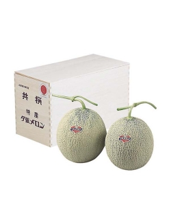 〈EJ Premier Fruits / JA夕張〉北海道産 夕張メロン【特秀/1.5kg×2】最上級・木箱入