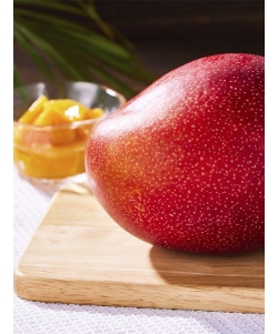 〈EJ Premier Fruits〉JA西都 宮崎県産 完熟マンゴー 5Lサイズ 1個