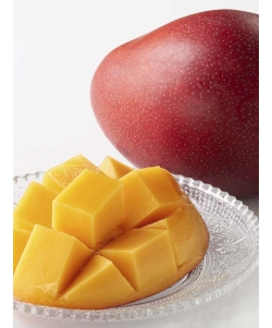 〈EJ Premier Fruits〉JA西都 宮崎県産 完熟マンゴー [太陽のタマゴ] 2個 4Lサイズ 桐箱入