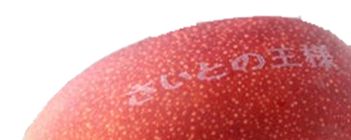 最上等級・4L/5Lあり】太陽のタマゴ 宮崎完熟マンゴー | 高級 最上等級・4L/5Lあり】太陽のタマゴ 宮崎完熟マンゴー | 高級