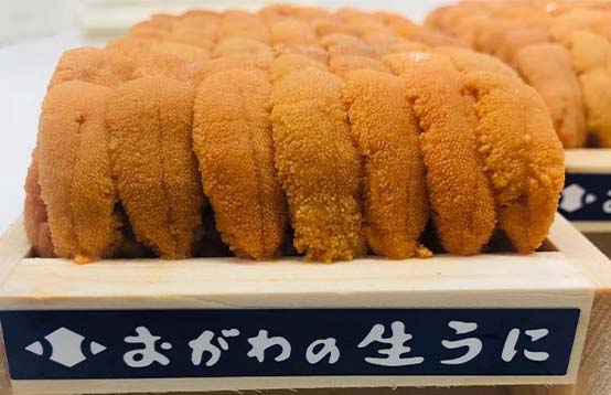 小川のうに