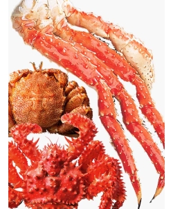〈マルダイ水産〉 超特大 かに3種食べ比べ [堅ガニ・身入率90%以上]／タラバガニ脚・花咲ガニ姿・毛ガニ
