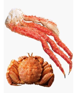 〈マルダイ水産〉特大 かに2種食べ比べ [堅ガニ・身入率90%以上] ／タラバガニ脚・毛ガニ