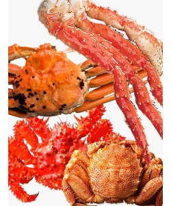 〈マルダイ水産〉超特大 豪華カニセット／タラバガニ脚・ズワイガニ・毛ガニ・花咲ガニ