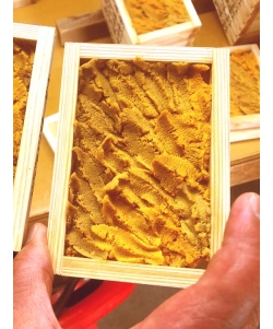 〈兵庫／川勝うに加工〉淡路島由良 川勝の赤うに・特上【最上等級】