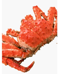 〈マルダイ水産〉超特大 タラバガニ姿 [堅ガニ・身入率90%以上] ／銘品百選