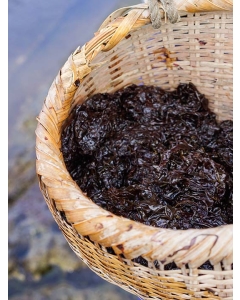 〈北海道/松前さくら漁業共同組合〉松前産 幻の天然岩海苔